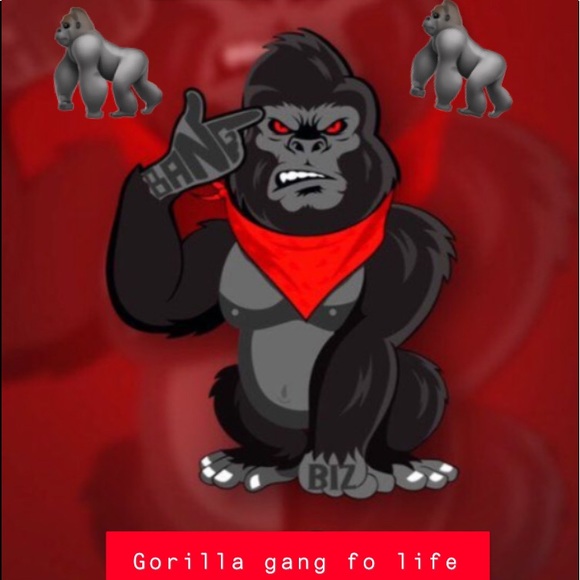 Meet your Posher, Isaac - Picture 1 of 1